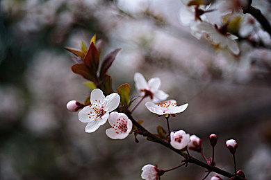 《Subnautica 2》揭晓全新深海掠食者“收藏家利维坦”